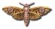Magradore's Moth Brooch