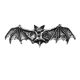 Darkling Bat - Slide